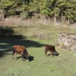 20230507082637_IMG_7896