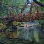 53a138d65679f3c596f0307efa69f3df