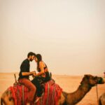 Camel ride in desert safari Dubai