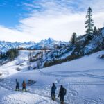 Delhi Shimla Kullu Manali Chandigarh Tour Package