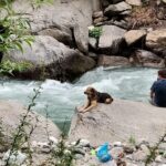 Discover the Best Stays in Tirthan Valley _ Tirthan Valley Stay