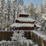 Hadimba temple in Manali with heavy snow ❄️❄️