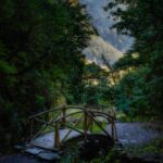 Jibhi_ A Pursuit of Serenity - The Floating Pebbles