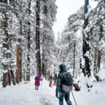 Kedarkantha Trek (1)