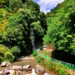 abdul-muiz-khan-BRGHgoKZdOo-unsplash