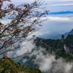 pexels-david-tran-1629960371-34683516