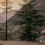 pexels-hrishavjha-29855009